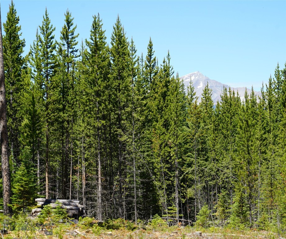 Big Sky, Montana 59716, United States, ,Land,Contingent,73698