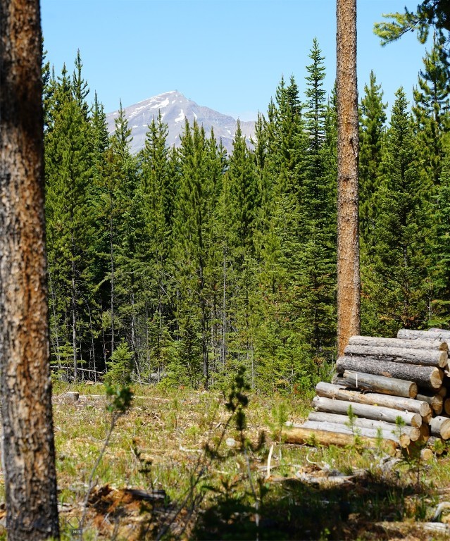 Big Sky, Montana 59716, United States, ,Land,Contingent,73698