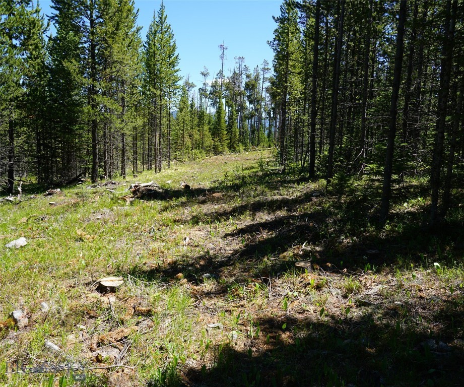 Big Sky, Montana 59716, United States, ,Land,Contingent,73698