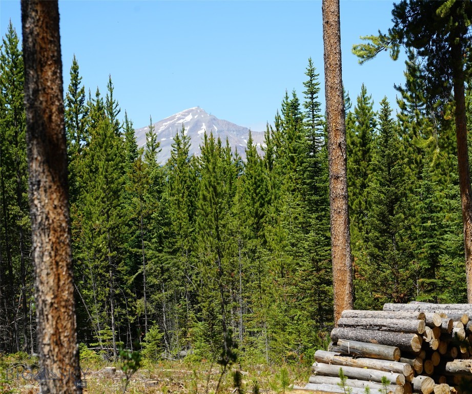 Big Sky, Montana 59716, United States, ,Land,Contingent,73698