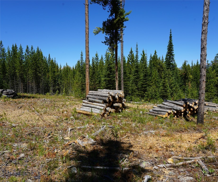 Big Sky, Montana 59716, United States, ,Land,Contingent,73698