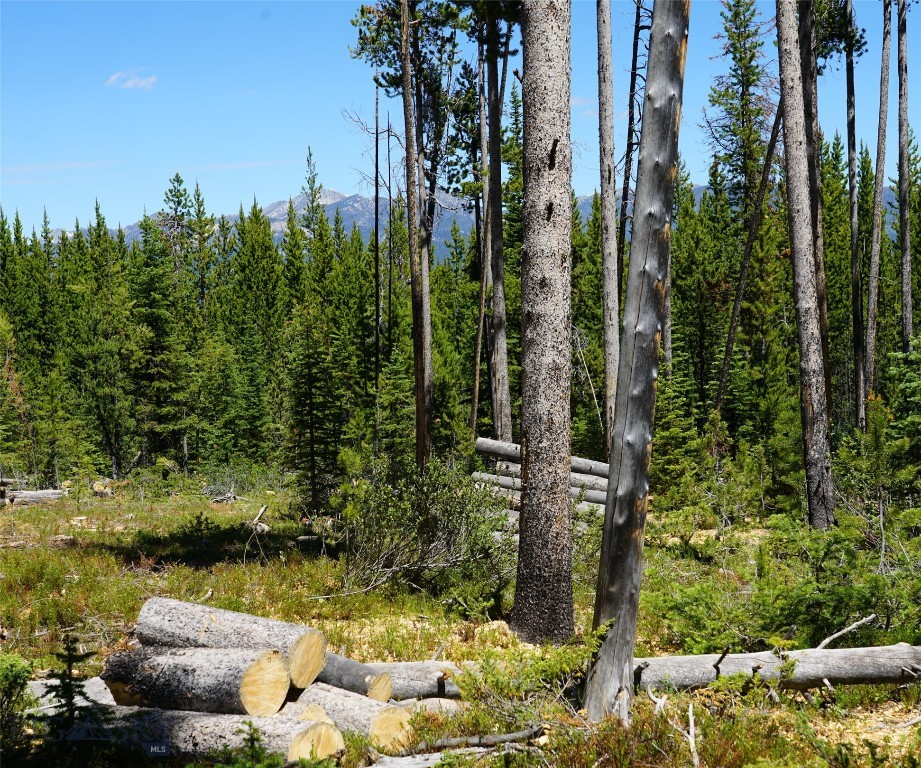 Big Sky, Montana 59716, United States, ,Land,Contingent,73698