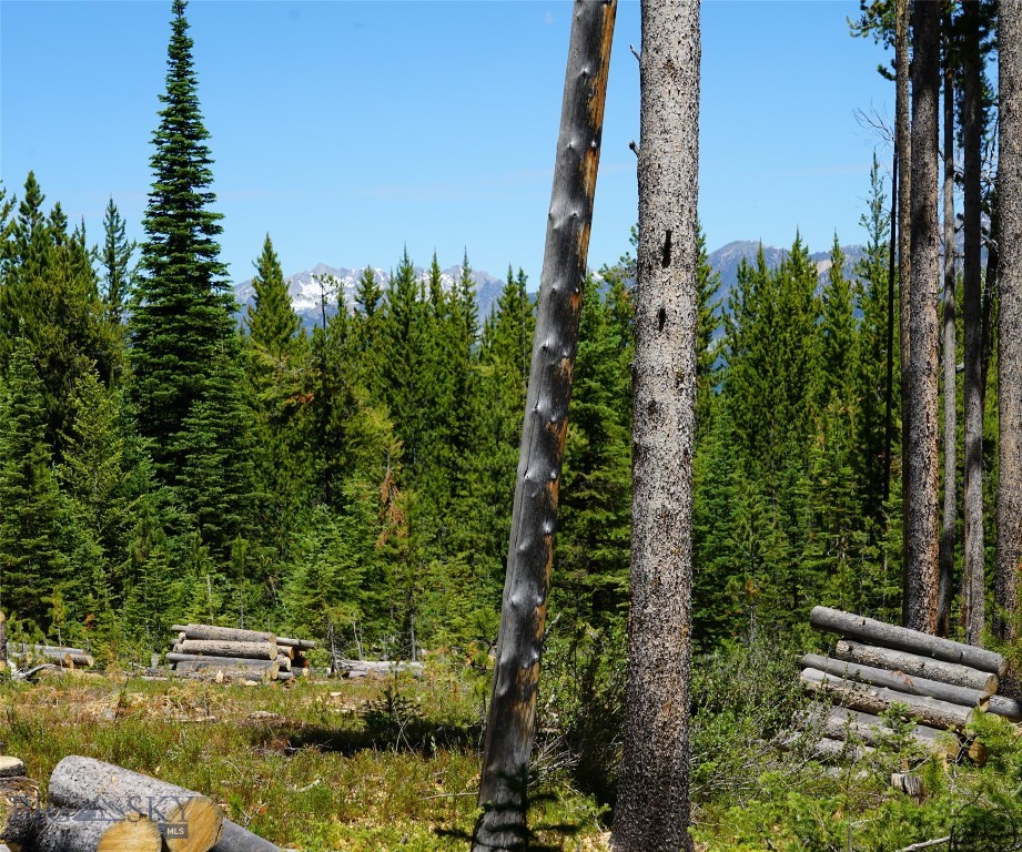 Big Sky, Montana 59716, United States, ,Land,Contingent,73698