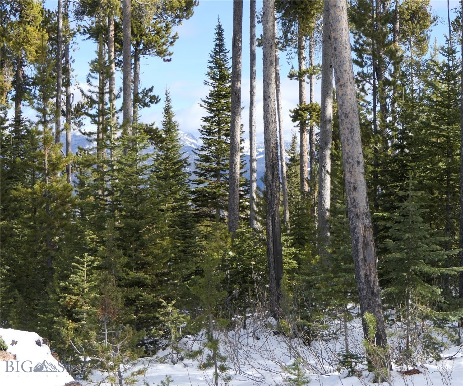 Big Sky, Montana 59716, United States, ,Land,Contingent,73698