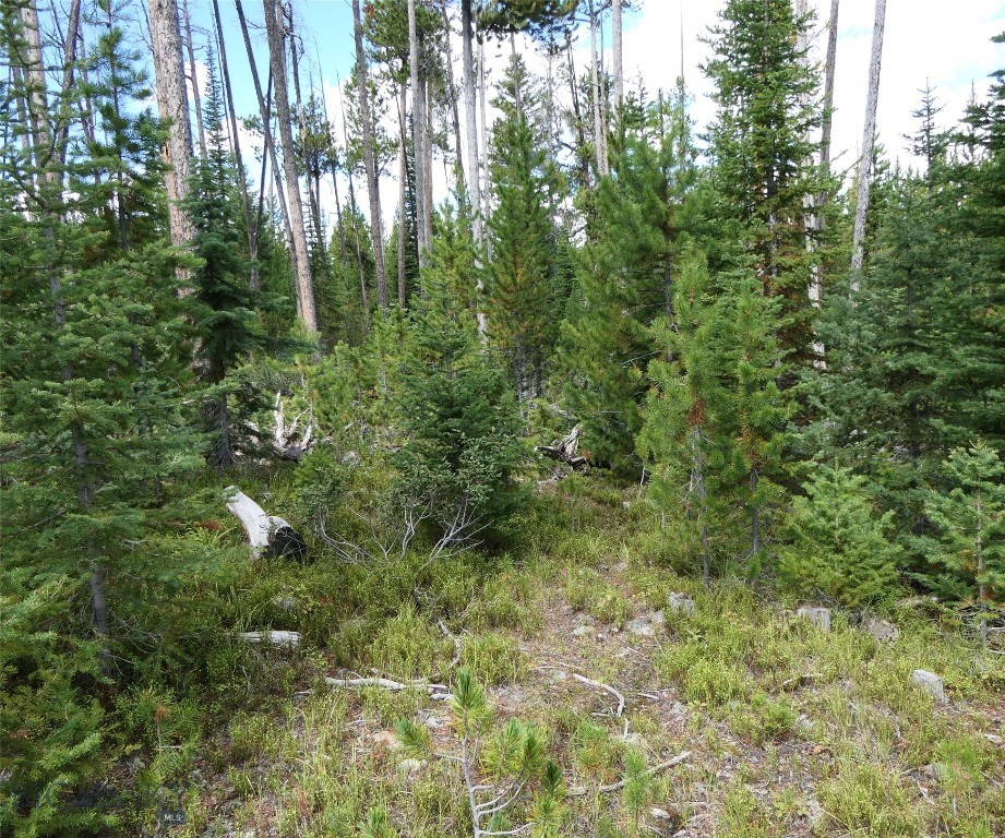 Big Sky, Montana 59716, United States, ,Land,Contingent,73698