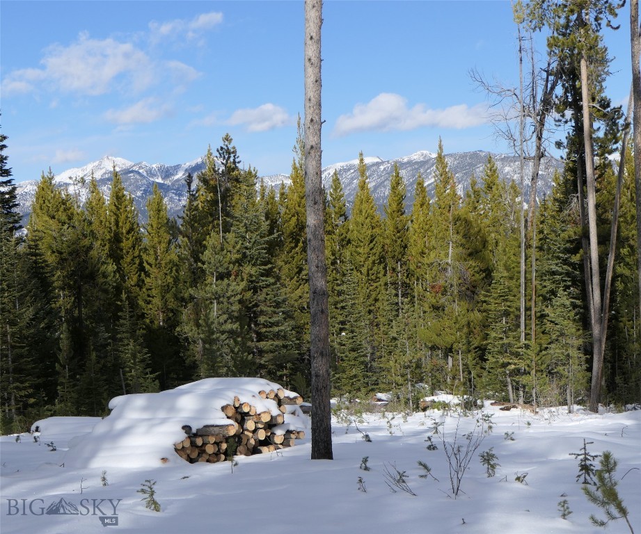 Big Sky, Montana 59716, United States, ,Land,Contingent,73698