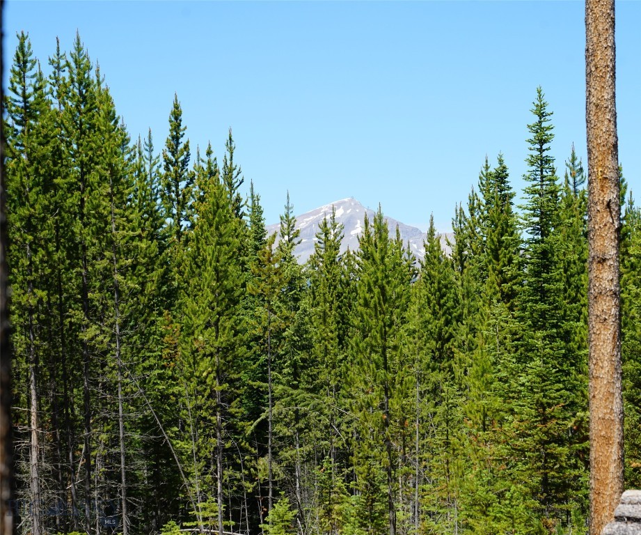 Big Sky, Montana 59716, United States, ,Land,Contingent,73698