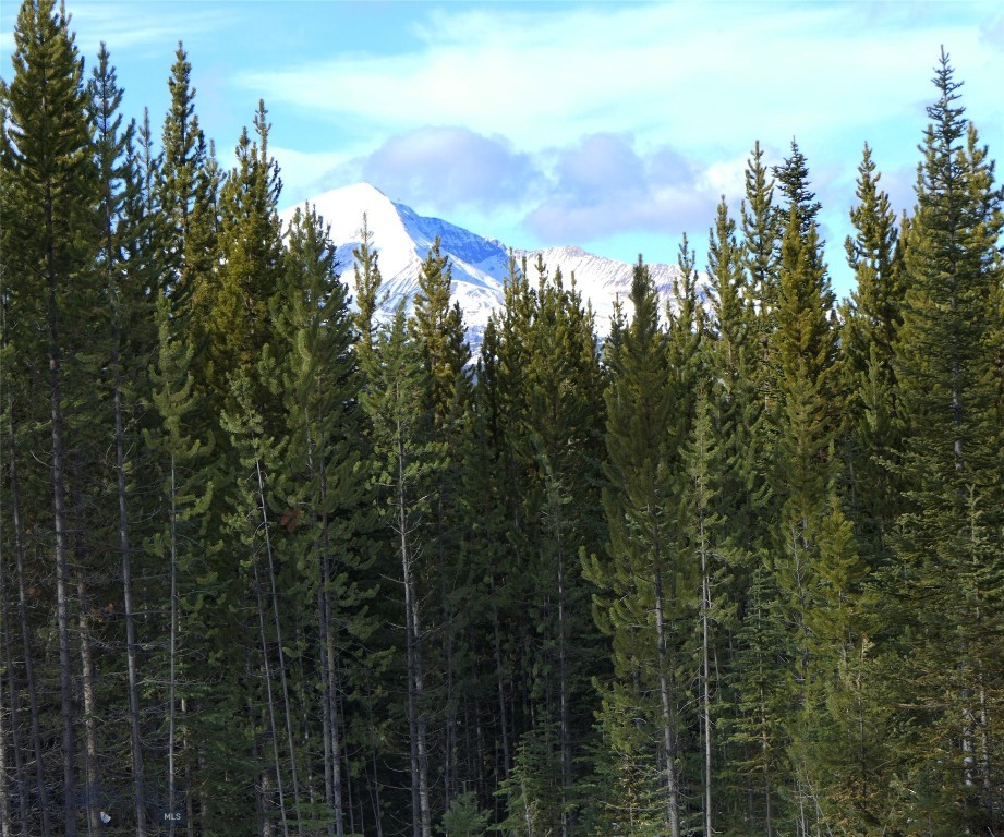 Big Sky, Montana 59716, United States, ,Land,Contingent,73698