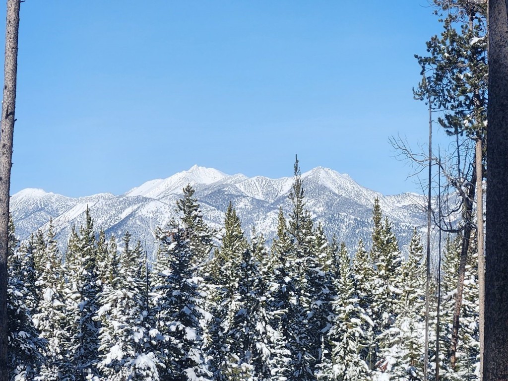 Big Sky, Montana 59716, United States, ,Land,Contingent,73698