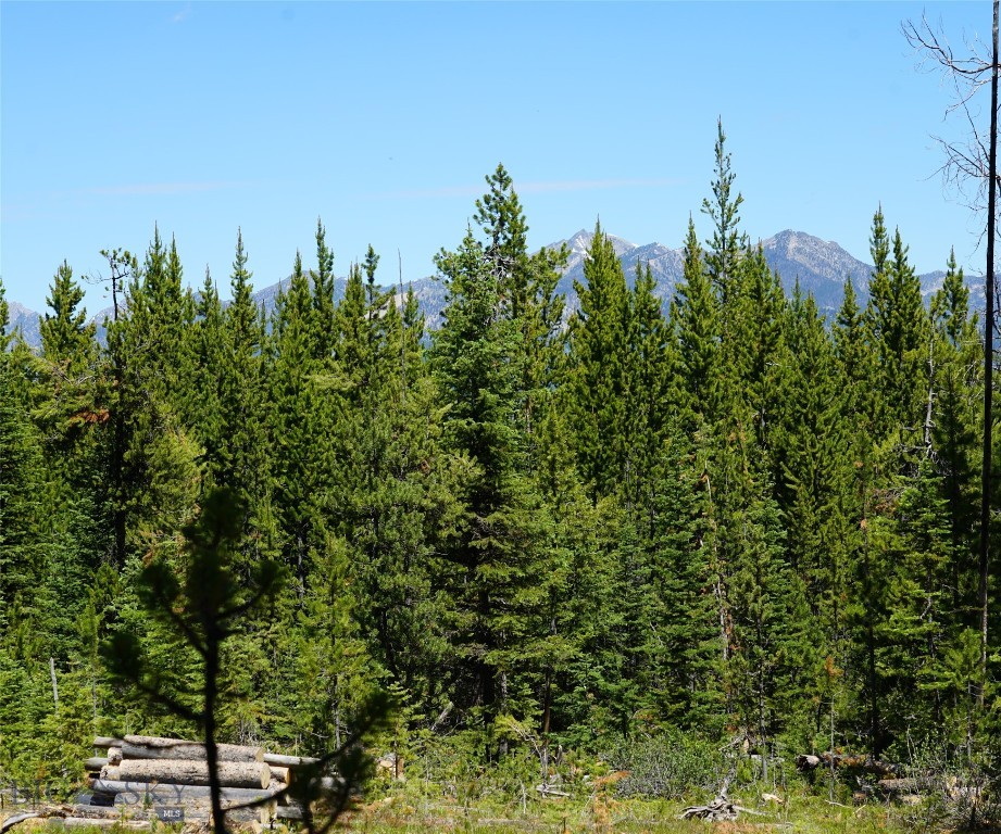 Big Sky, Montana 59716, United States, ,Land,Contingent,73698