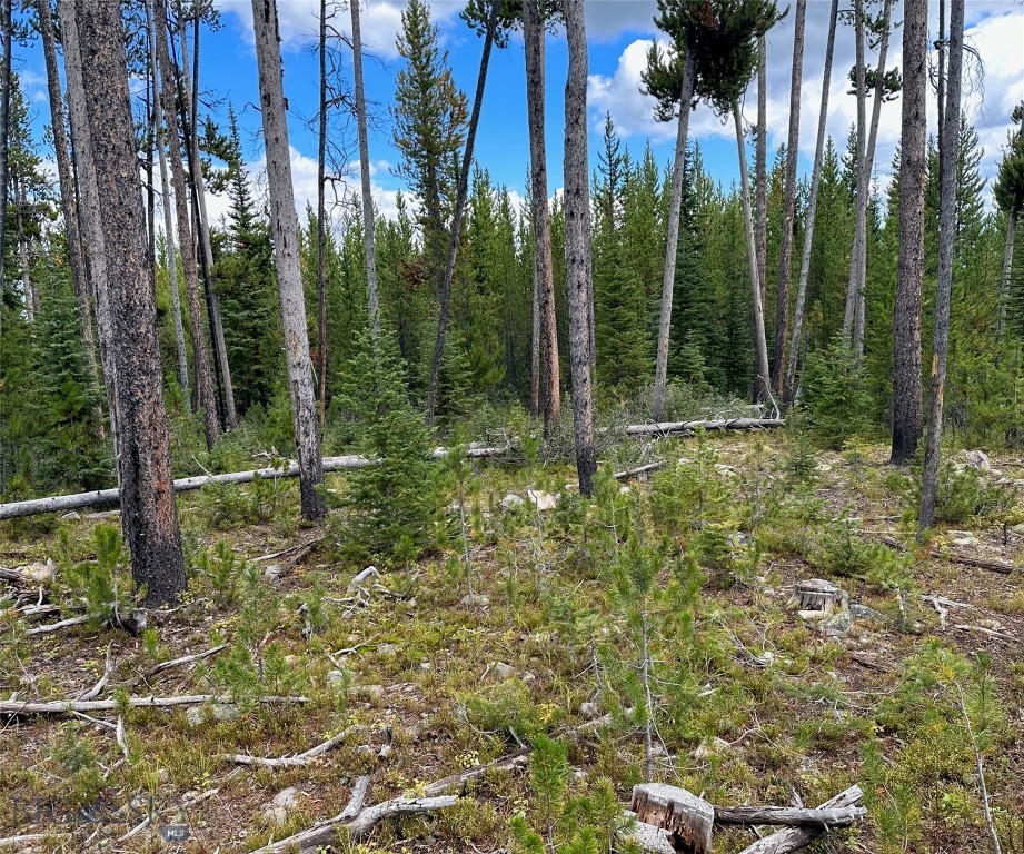 Big Sky, Montana 59716, United States, ,Land,Contingent,73698