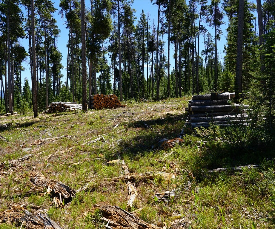 Big Sky, Montana 59716, United States, ,Land,Contingent,73698
