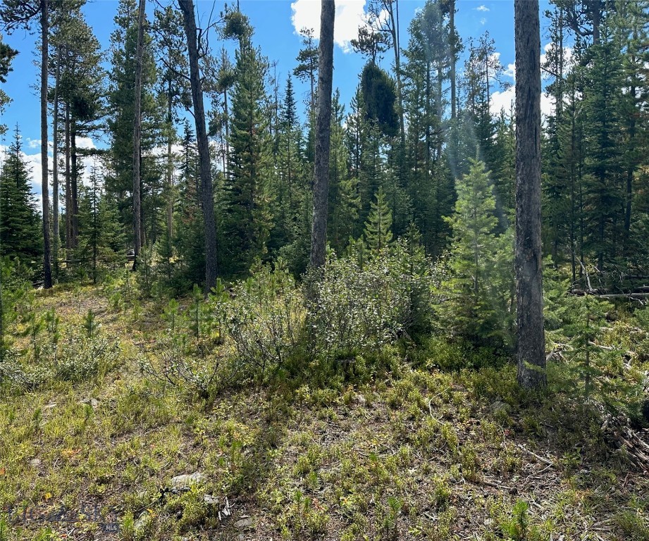 Big Sky, Montana 59716, United States, ,Land,Contingent,73698