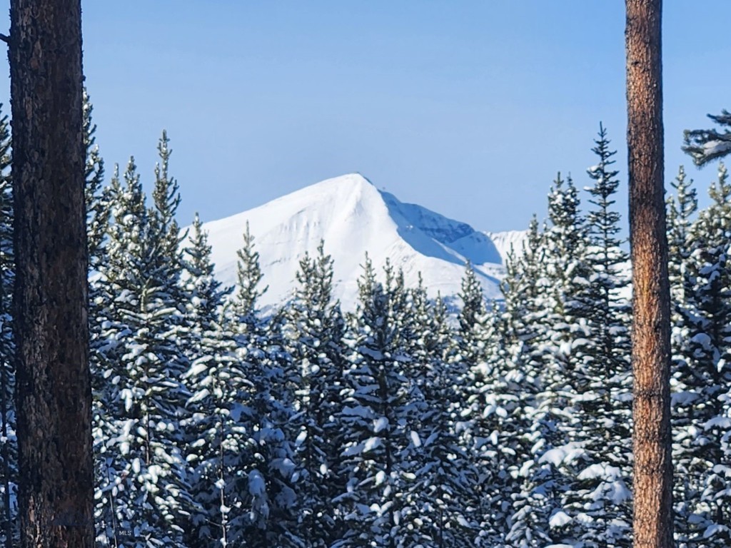 Big Sky, Montana 59716, United States, ,Land,Contingent,73698
