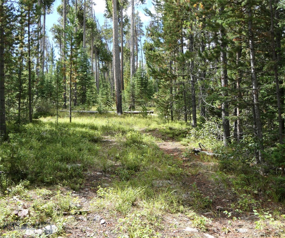 Big Sky, Montana 59716, United States, ,Land,Contingent,73698