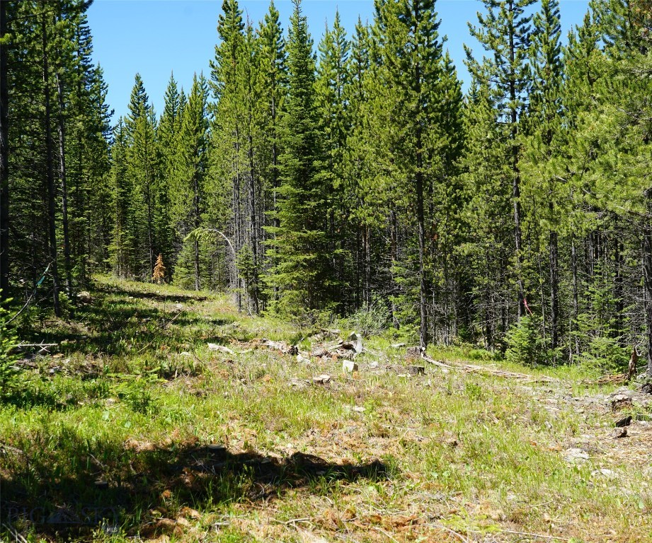 Big Sky, Montana 59716, United States, ,Land,Contingent,73698