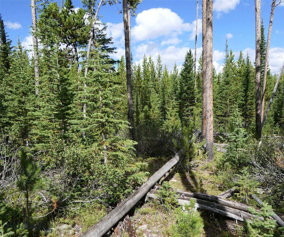 Big Sky, Montana 59716, United States, ,Land,Contingent,73698