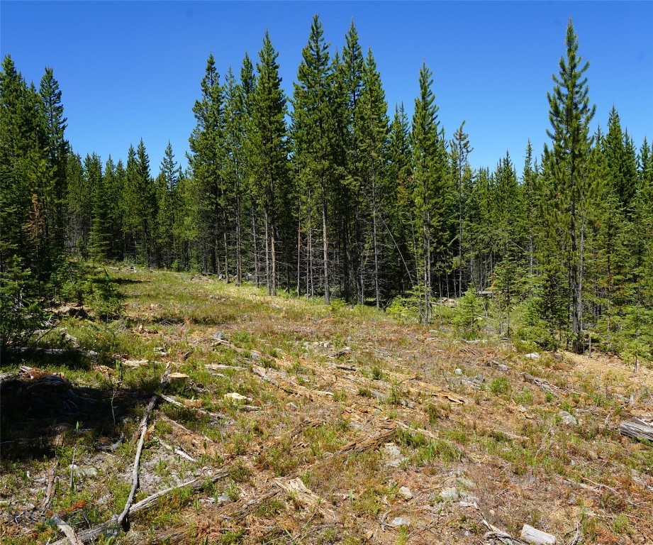 Big Sky, Montana 59716, United States, ,Land,Contingent,73698