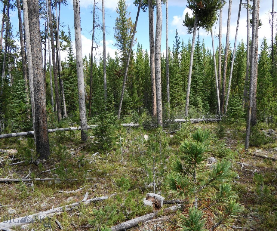 Big Sky, Montana 59716, United States, ,Land,Contingent,73698