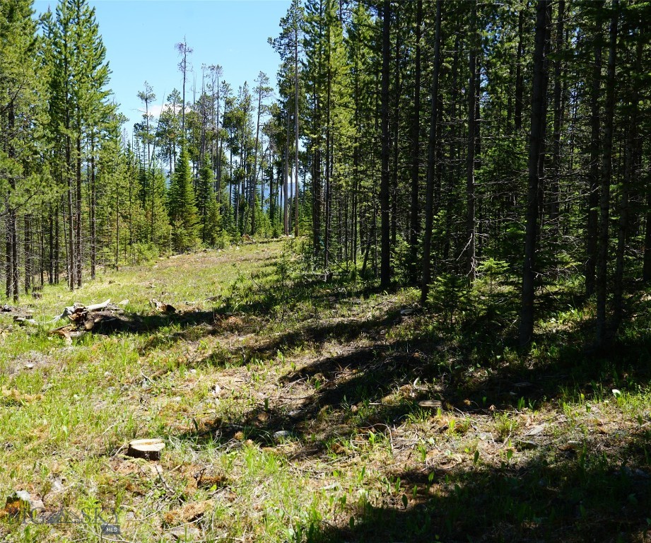 Big Sky, Montana 59716, United States, ,Land,Contingent,73698