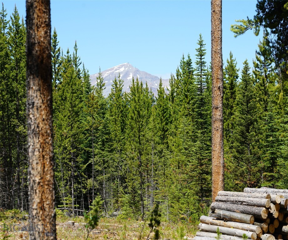 Big Sky, Montana 59716, United States, ,Land,Contingent,73698