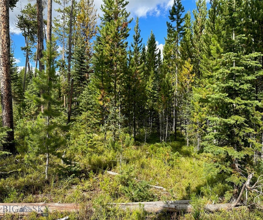 Big Sky, Montana 59716, United States, ,Land,Contingent,73698