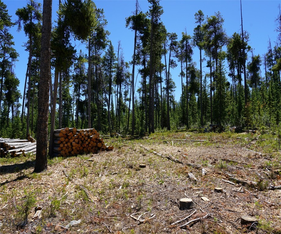 Big Sky, Montana 59716, United States, ,Land,Contingent,73698