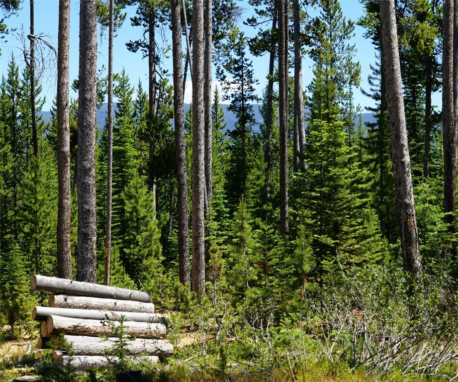 Big Sky, Montana 59716, United States, ,Land,Contingent,73698