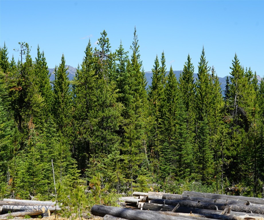 Big Sky, Montana 59716, United States, ,Land,Contingent,73698