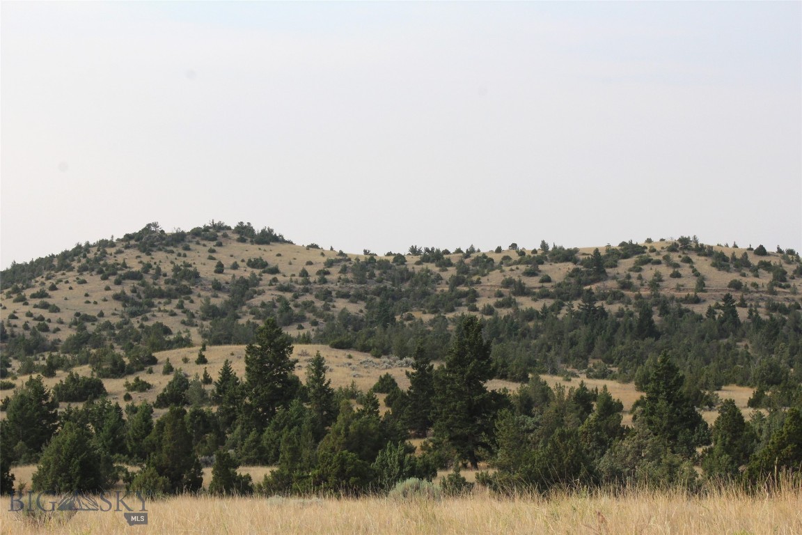 Radersburg, Montana 59641, United States, ,Land,Pending,50345