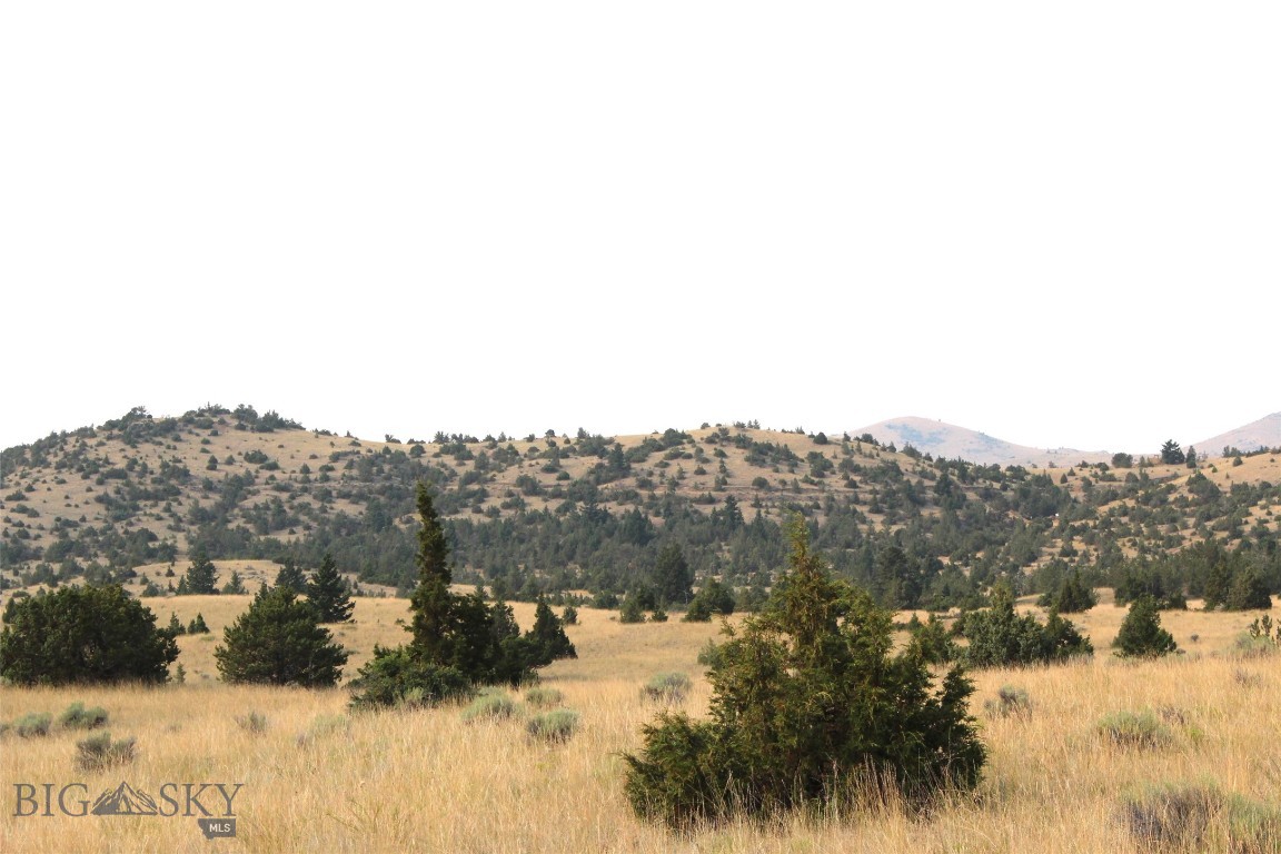 Radersburg, Montana 59641, United States, ,Land,Pending,50345