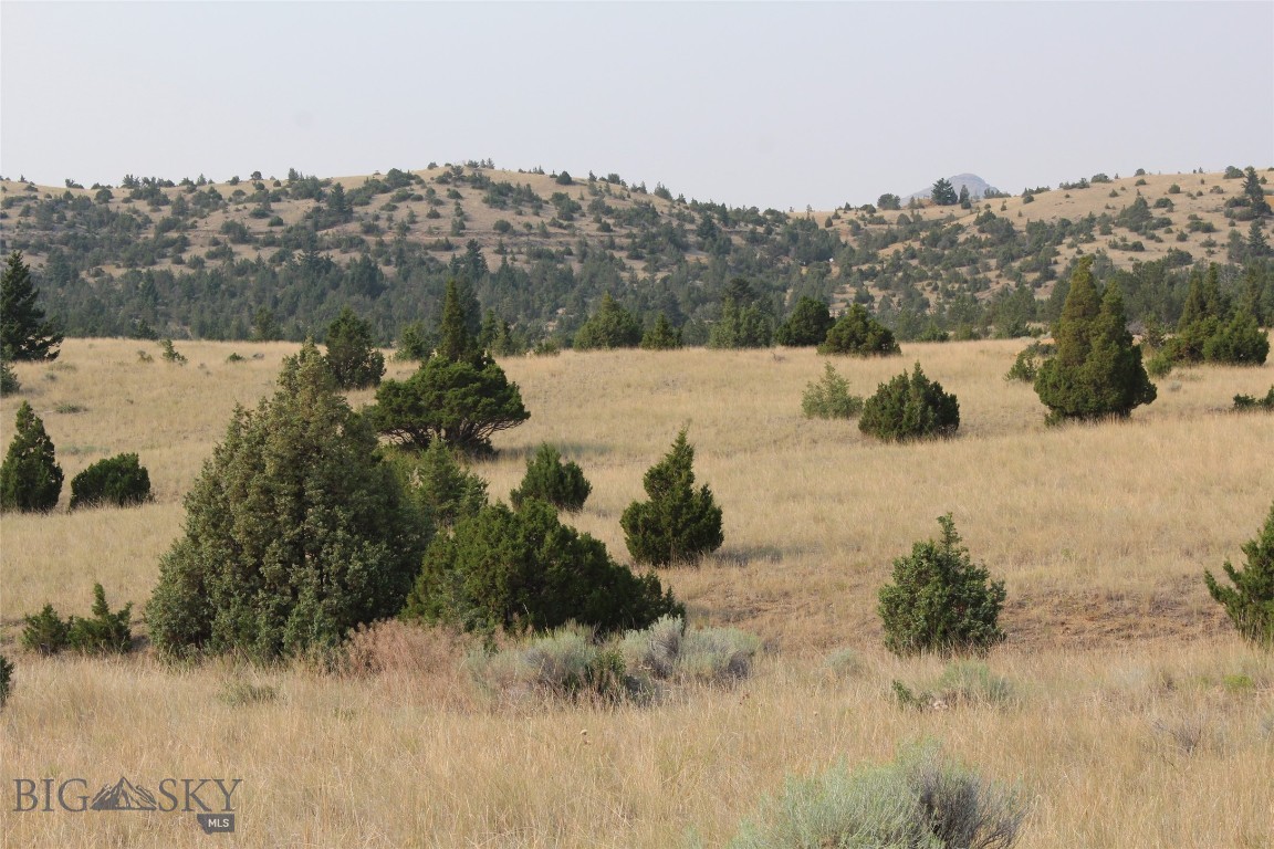 Radersburg, Montana 59641, United States, ,Land,Pending,50345