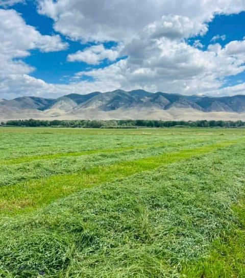 Photo of TBD Schoolhouse Road, Glen, MT 59732 (MLS # 408460)