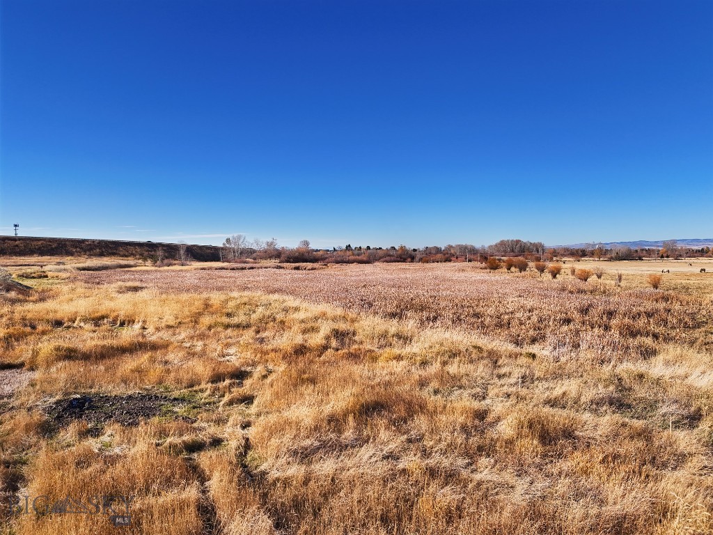 Gallatin Park - Land