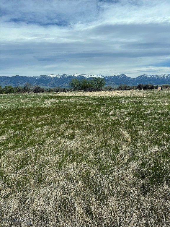 Other - Land
