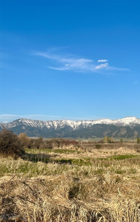 Other - Land