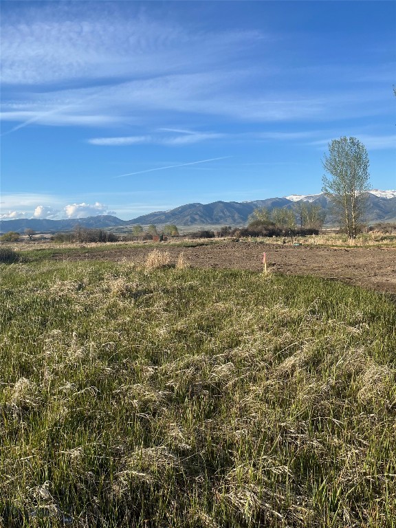 Other - Land