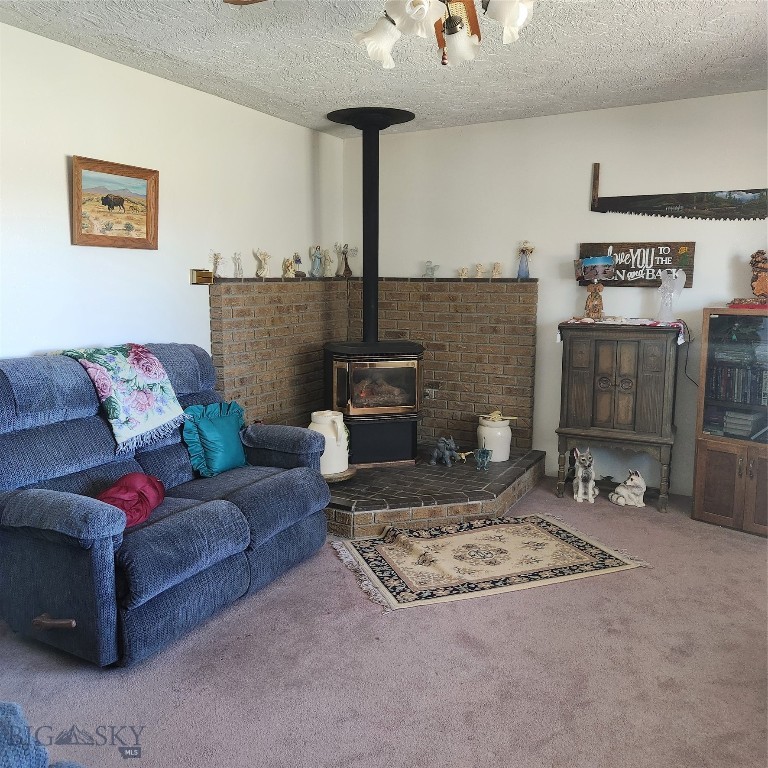 230 Beaverhead Lane