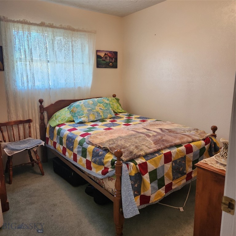230 Beaverhead Lane