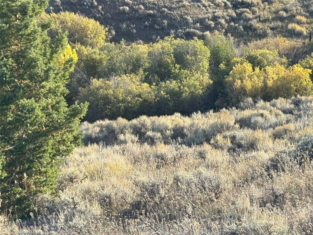Other - Land