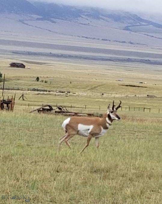 Virginia City Ranches - Residential