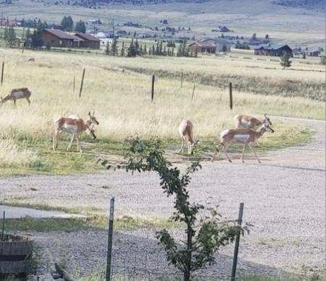 Virginia City Ranches - Residential