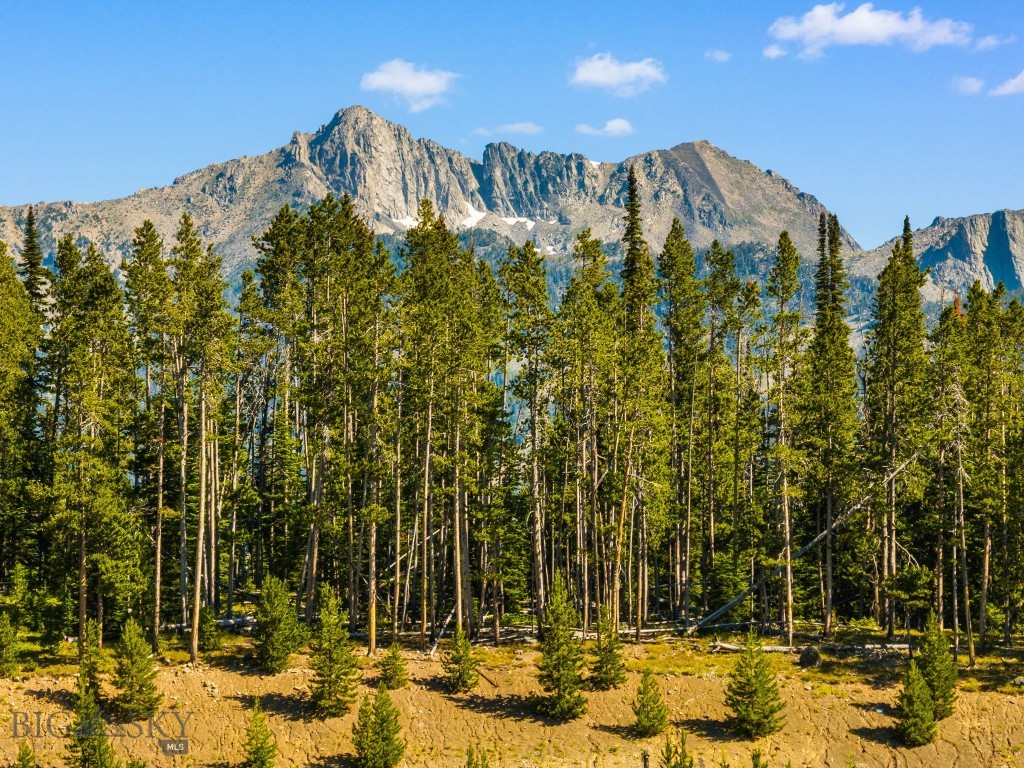 TBD Beehive Basin Lot 132A-1 Road
