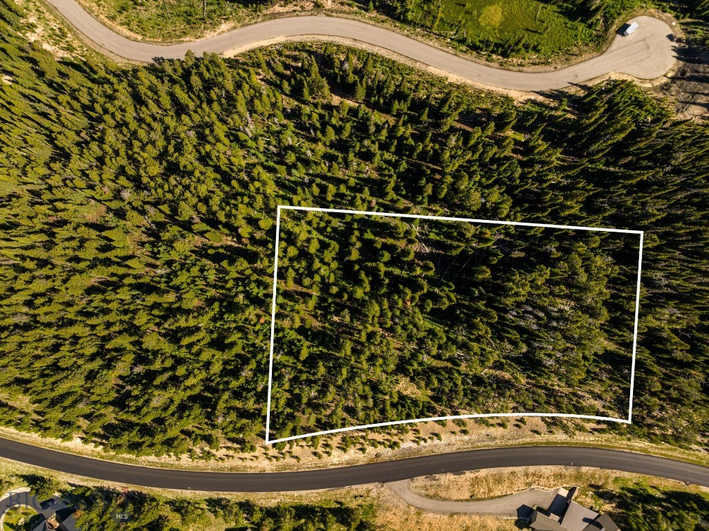 TBD Beehive Basin Lot 132A-1 Road