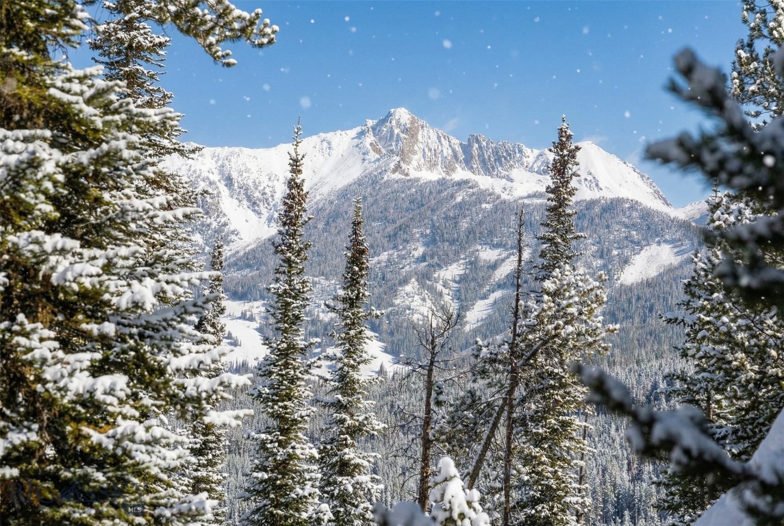 TBD Beehive Basin Lot 132A-1 Road