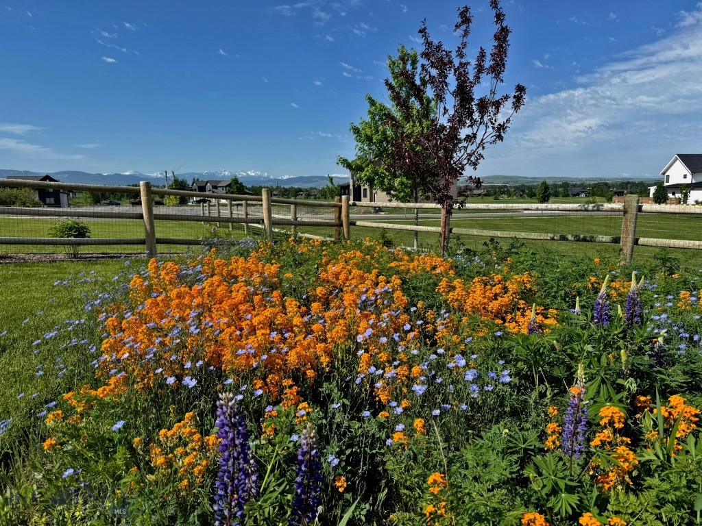 White Horse Ranch - Residential