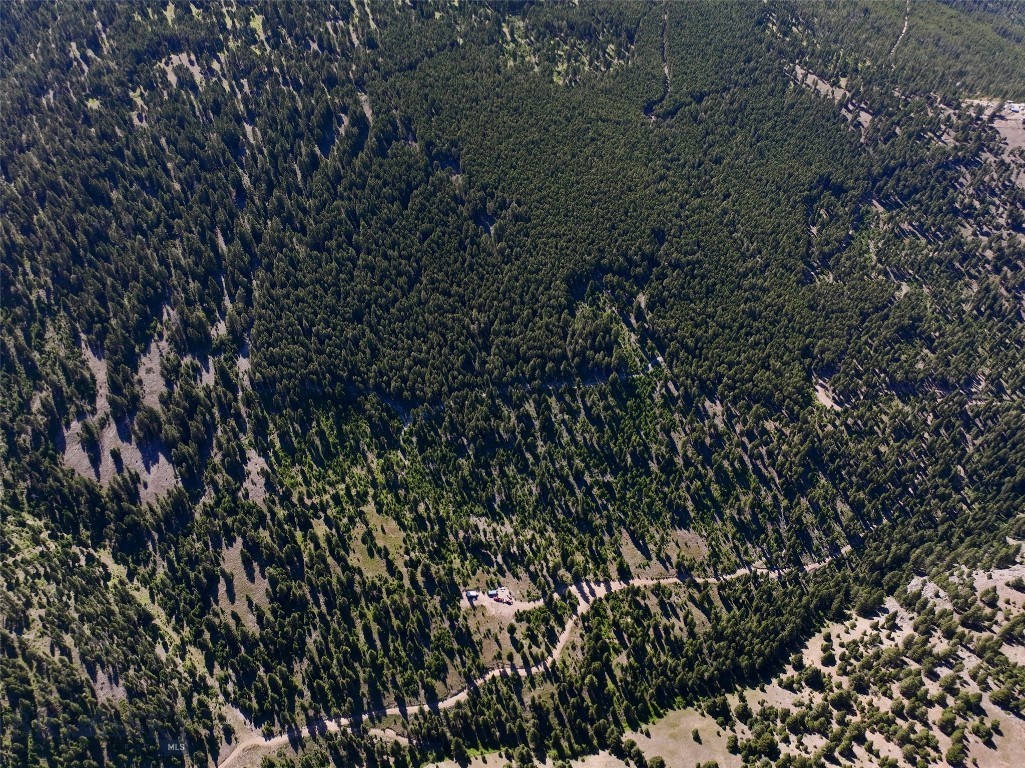 Approximately 70 secluded acres in 4 parcels, all with Chimney Creek running through them! Neighboring 40 acres also available! This property has been improved with a new private road making the creek more accessible. Enjoy a variety of topography and explore for days to find all of its unique qualities! Woods, views, a few open grassy areas, and water! Enjoy a cleared and leveled camp trailer area which includes a shipping container which stays with the new owner, an ATV-accessible road system easing access from both the "top" and "bottom," access to trails to the creek complete with a small "sitting/soaking pool." This property is perfect for getting away from it all, with its off-grid and seasonal access (during deep winter you'll need a snowmobile or similar type of machine with tracks). Hunting, camping, and residential opportunities are available on this property. Access this property from Helmville/Hwy 271 or from I-90. A community faucet is also nearby for drinking water. Hunting, camping, and even development opportunities are available on this property, adding value with individual parcels already created. Access this property from Helmville/Hwy 271 or from I-90. A community faucet is also nearby for drinking water.