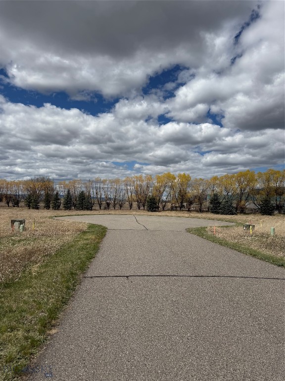 Bridger Lake Meadows - Land