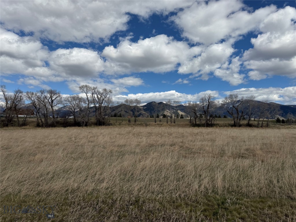Bridger Lake Meadows - Land