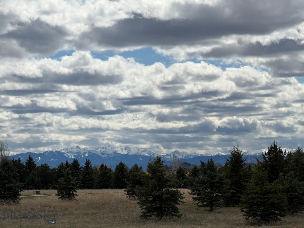 Bridger Lake Meadows - Land